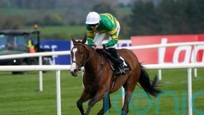 Cesarewitch hope A Dream To Share ineligible for Newmarket contest