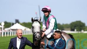 Champions Day the target for Field Of Gold return