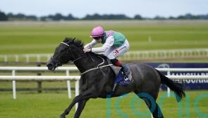 Red Letter steps up for Group Three Curragh test