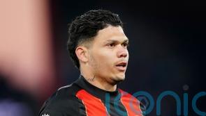 Bournemouth bring Tottenham back down to earth as Evanilson secures win