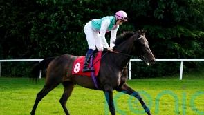 Sandown Eyecatcher Skellet will be making amends