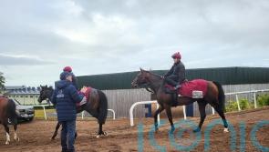 Aidan O’Brien eager for Ombudsman rematch with Delacroix