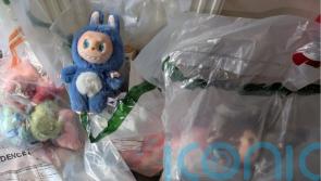 More than 100 fake Labubu dolls seized in Moray