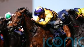 American Affair ruled out of Champions Day outing