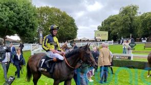 Clive Cox planning attack on big juvenile prizes with star pair