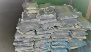 ‘Disconnect’ between those who take cocaine and impact of the drug – Kelly