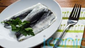 Hilton Foods shares dive as seafood demand sinks amid soaring prices