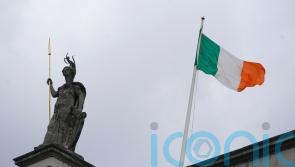 Ireland at &lsquo;tipping point&rsquo; on response to citizenship issues, Taoiseach warns