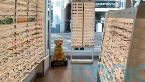 Common eye problems will be treated on high street under Government changes