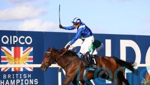 Anmaat team eager to take Irish Champion Stakes chance