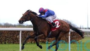 Dubai Honour goes for Baden-Baden gold