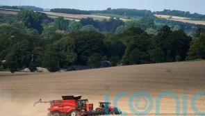 Thousands of farmers facing uncertainty over payments to protect nature