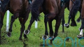 Trainer and rider charged over Hillsin run more than two years ago