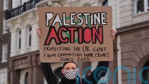 Government to challenge decision to allow legal action over Palestine Action ban