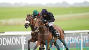 One Look snapped up by Wathnan Racing