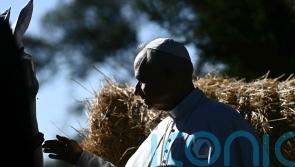 Pope feeds fish and pats horses as he opens Vatican’s sustainable farming centre