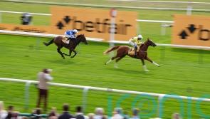 Zeus Olympios proves Superior to Haydock rivals