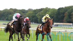 Haydock victor Bow Echo has Classic engagement on his radar