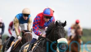 Big Mojo soars to Sprint Cup success