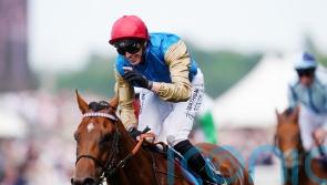 Haydock not the track for Lazzat after beaten Sprint Cup effort