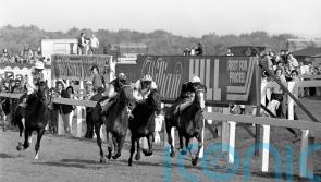 Steve Cauthen recalls Triple Crown glory on Oh So Sharp