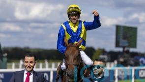 Goliath defeats Dubai Honour in Germany