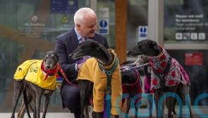 Scottish Government to support Green Bill to end greyhound racing