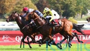 More agony for Rosallion in Moulin as Sahlan prevails