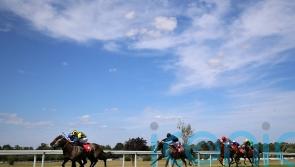 Injury forces early retirement for classy juvenile Staya