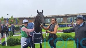 New owners for &lsquo;extremely exciting&rsquo; Willie Mullins two-year-old