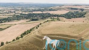 White horse landmark to be examined for damage after red cross pinned to it