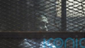Imprisoned British-Egyptian activist Alaa Abd el-Fattah on list for pardon