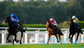Champions Day not ruled out for Bay City Roller