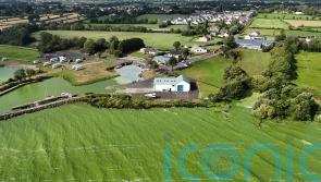 Lough Neagh fish safe to eat despite toxin discovery, FSA says