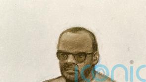 Man allegedly murdered sex worker seven months after raping another, court told