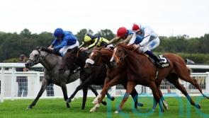 Paris on Arc day in sight for A Bit Of Spirit