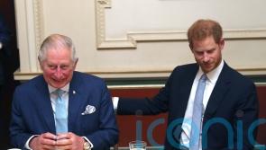 Speculation grows over whether King and Harry will meet
