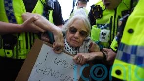 Arrest of ‘harmless old ladies’ what outlawed Palestine Action wants – Clarke
