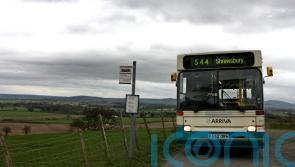 MPs agree to overturn ban on councils setting up bus companies