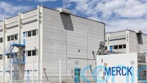 Merck scraps £1bn London expansion as report warns UK drugs sector ‘losing out’