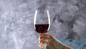 5 pleasing pinot noirs to pique your interest