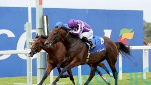 Delacroix takes on seven in his Irish Champion Stakes quest