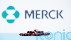 Merck’s move to axe £1bn UK expansion was ‘commercial decision’, says minister