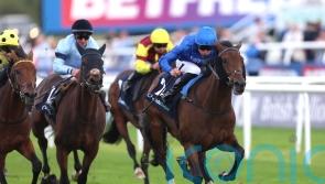 Plenty of future hope for Eyecatcher Rock