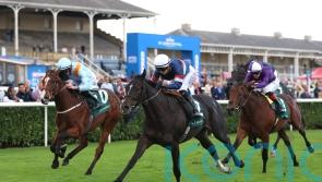 Calendar Girl could be booked for bigger things after taking Doncaster success