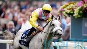 Gewan aiming to show Champagne sparkle at Doncaster