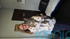 Missing cat reunited with owners after nine years thanks to microchip