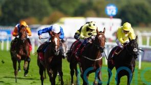 Avicenna swoops late for Flying Scotsman success