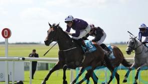 Adrian Murray’s sprinting aces face off in Flying Five