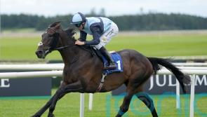 Al Riffa aiming to head to Melbourne on a high in Leger